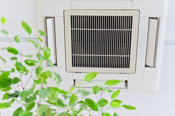 Best Ventilation Cleaning Services  in Detroit Beach, MI